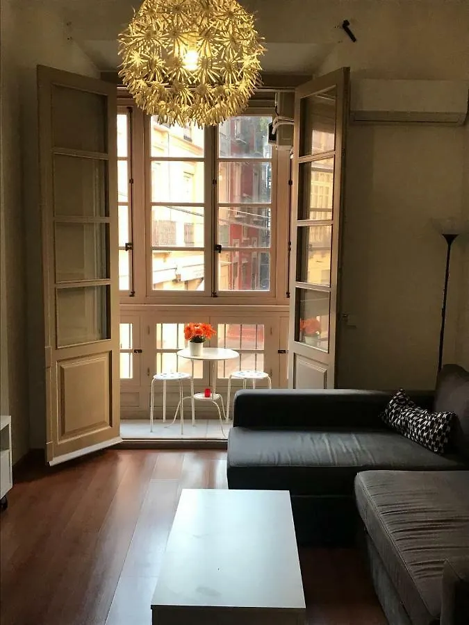 公寓 Apartamento Centro Historico 马拉加 西班牙